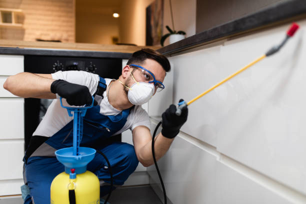 Flea Control Services in Archbald, PA
