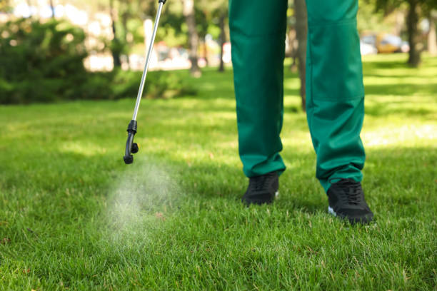Best Pest Control Cost  in Archbald, PA